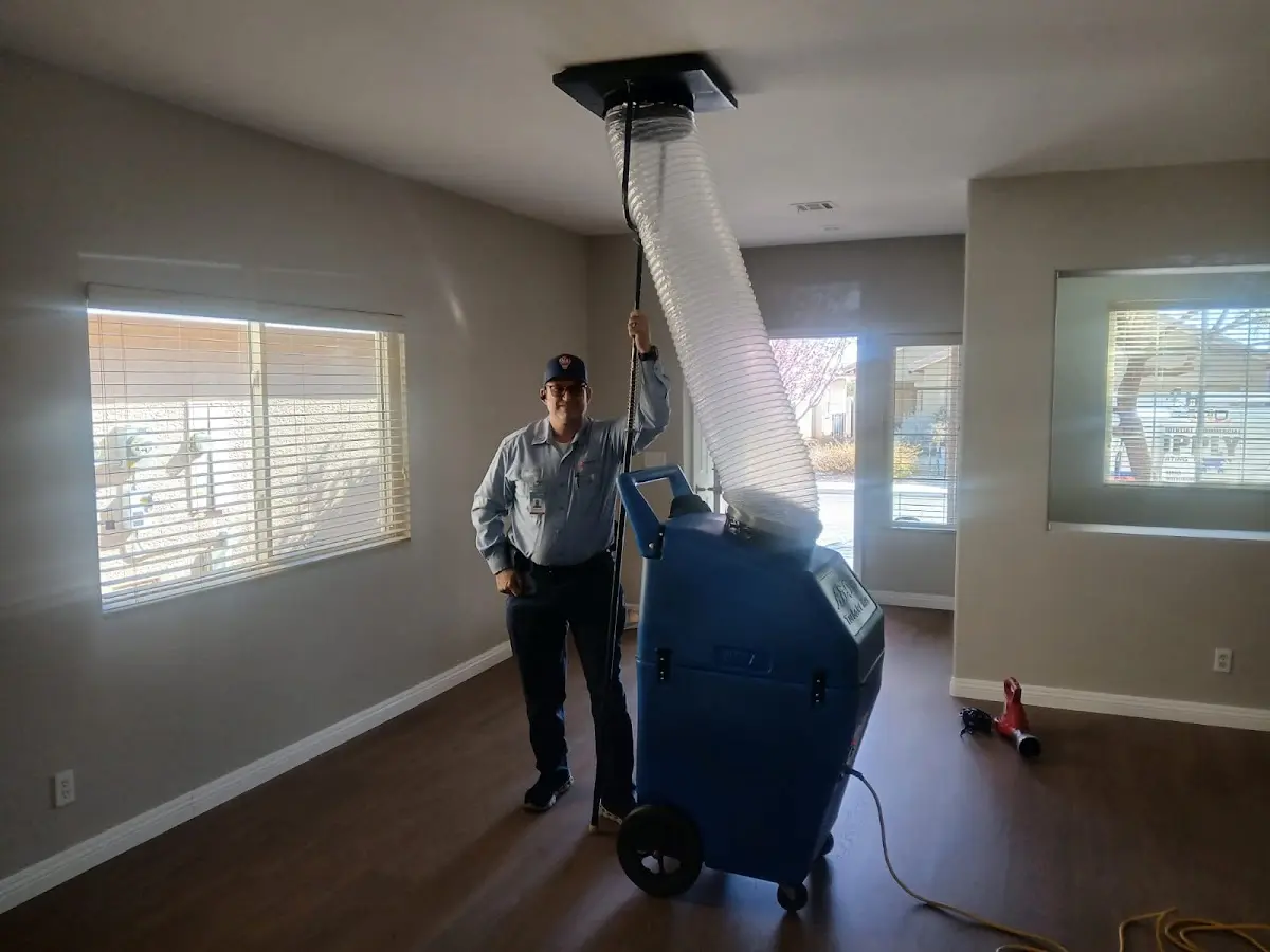 Professional Dryer Vent Cleaning work inside a Argyle home